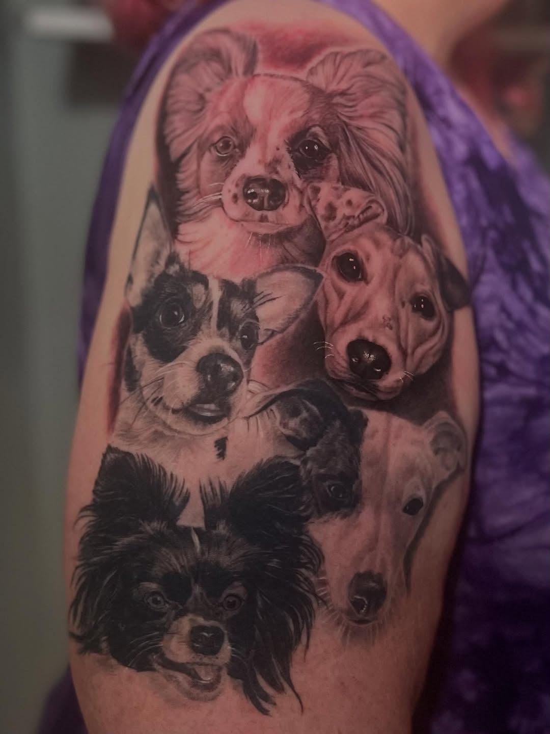 Tattoo by @bull_liquidchaos — realism, black_and_grey