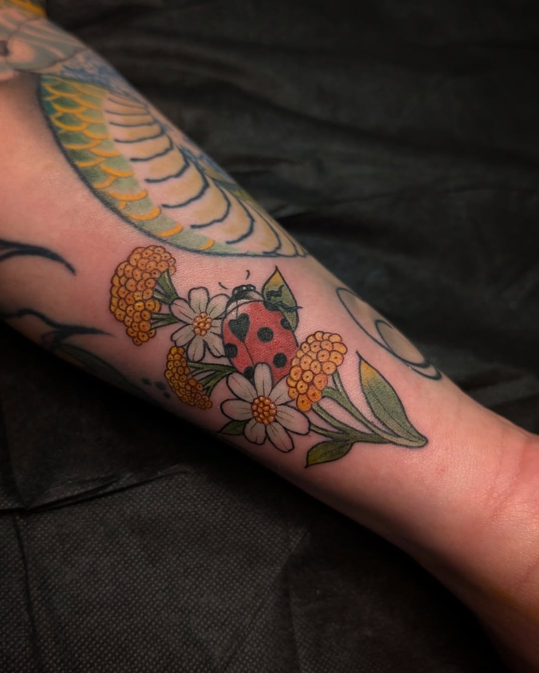 Tattoo by @reymarcable β illustrative, american_traditional