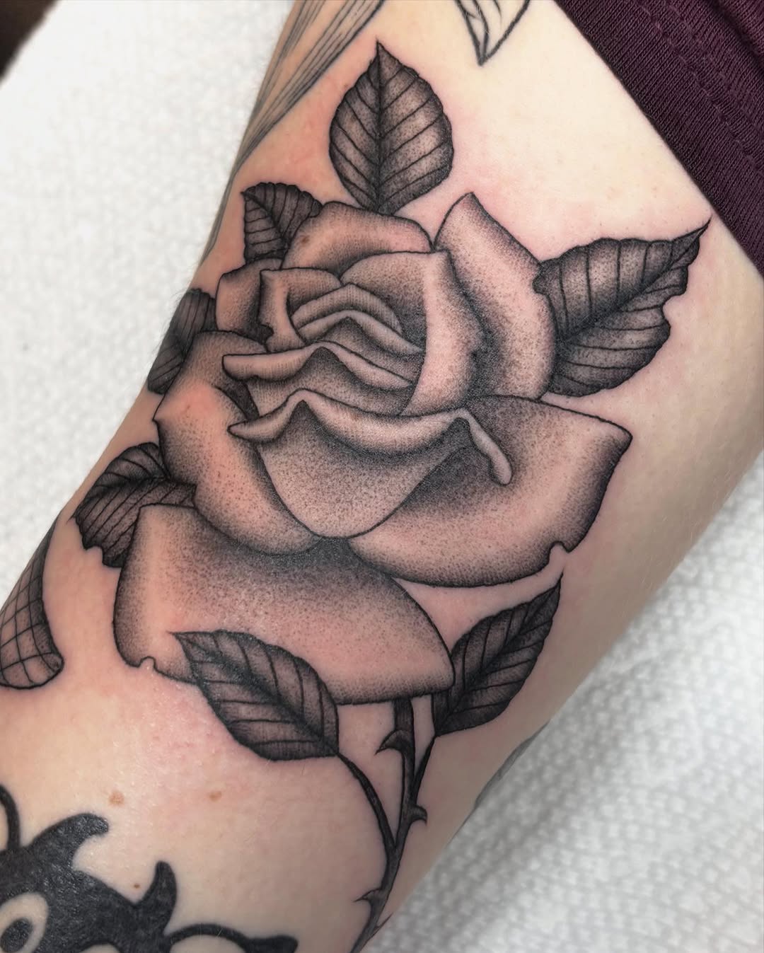 Tattoo by @tattoos.by.ang — dotwork, black_and_grey