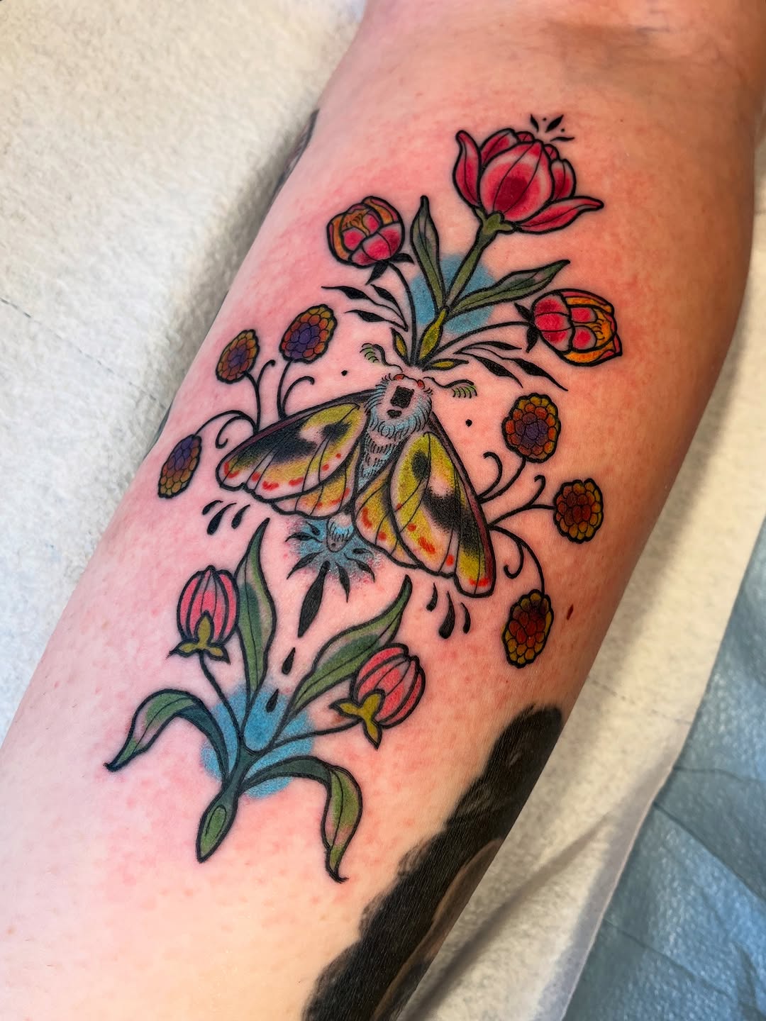 Tattoo by @allykat_tatts — illustrative, new_school