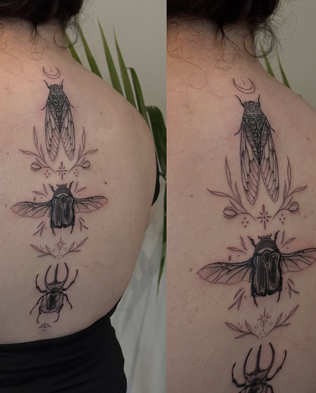 Tattoo by @bails.artt β fine_line, black_and_grey