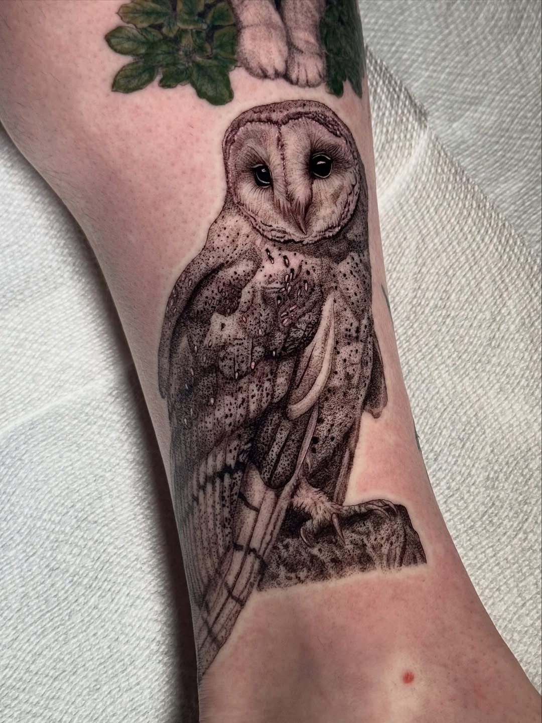 Tattoo by @brisiainks โ realism, dotwork