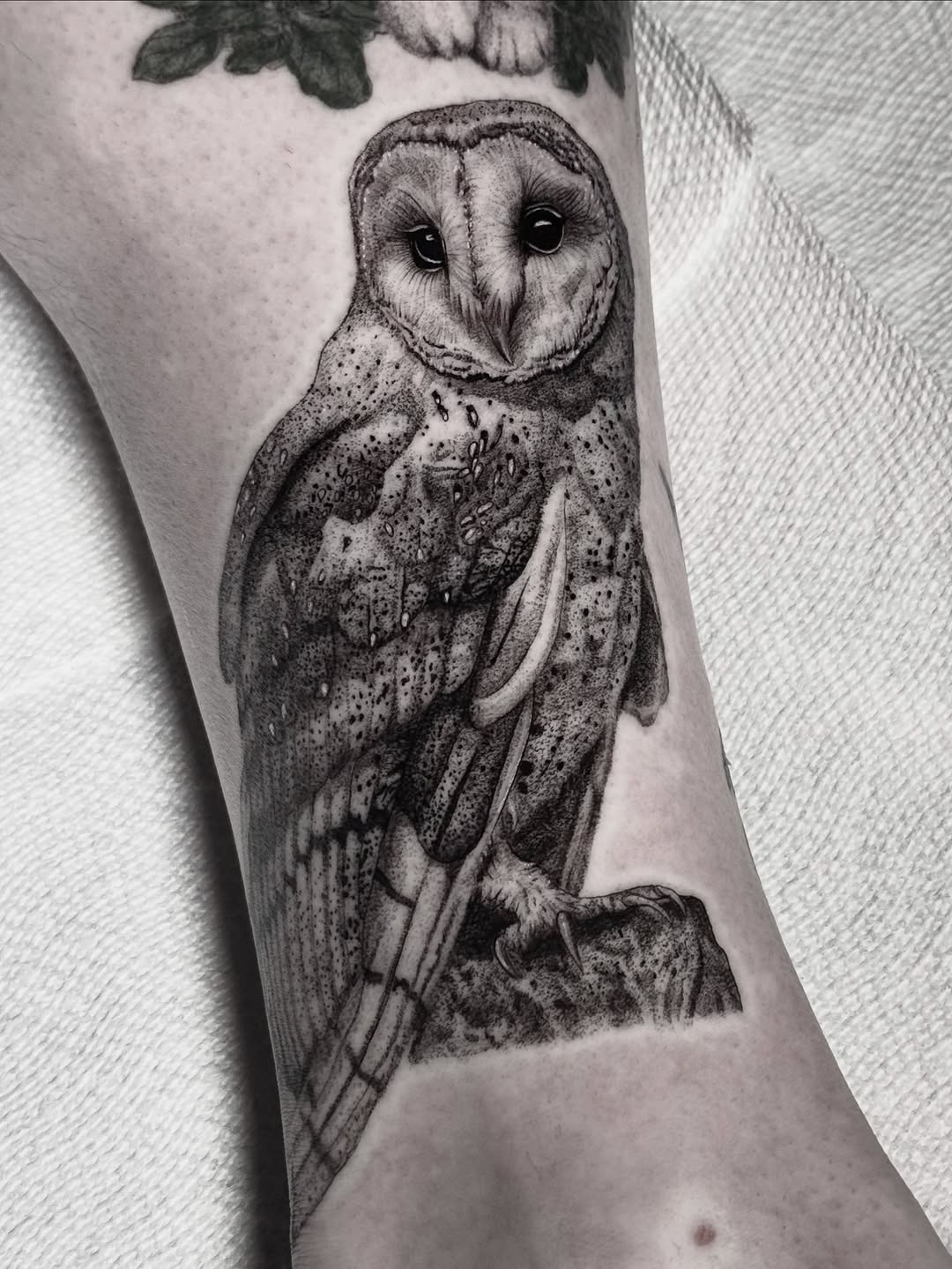 Tattoo by @brisiainks โ realism, black_and_grey