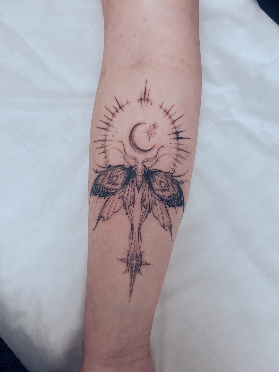 Tattoo by @z._.b_ink — fine_line, illustrative