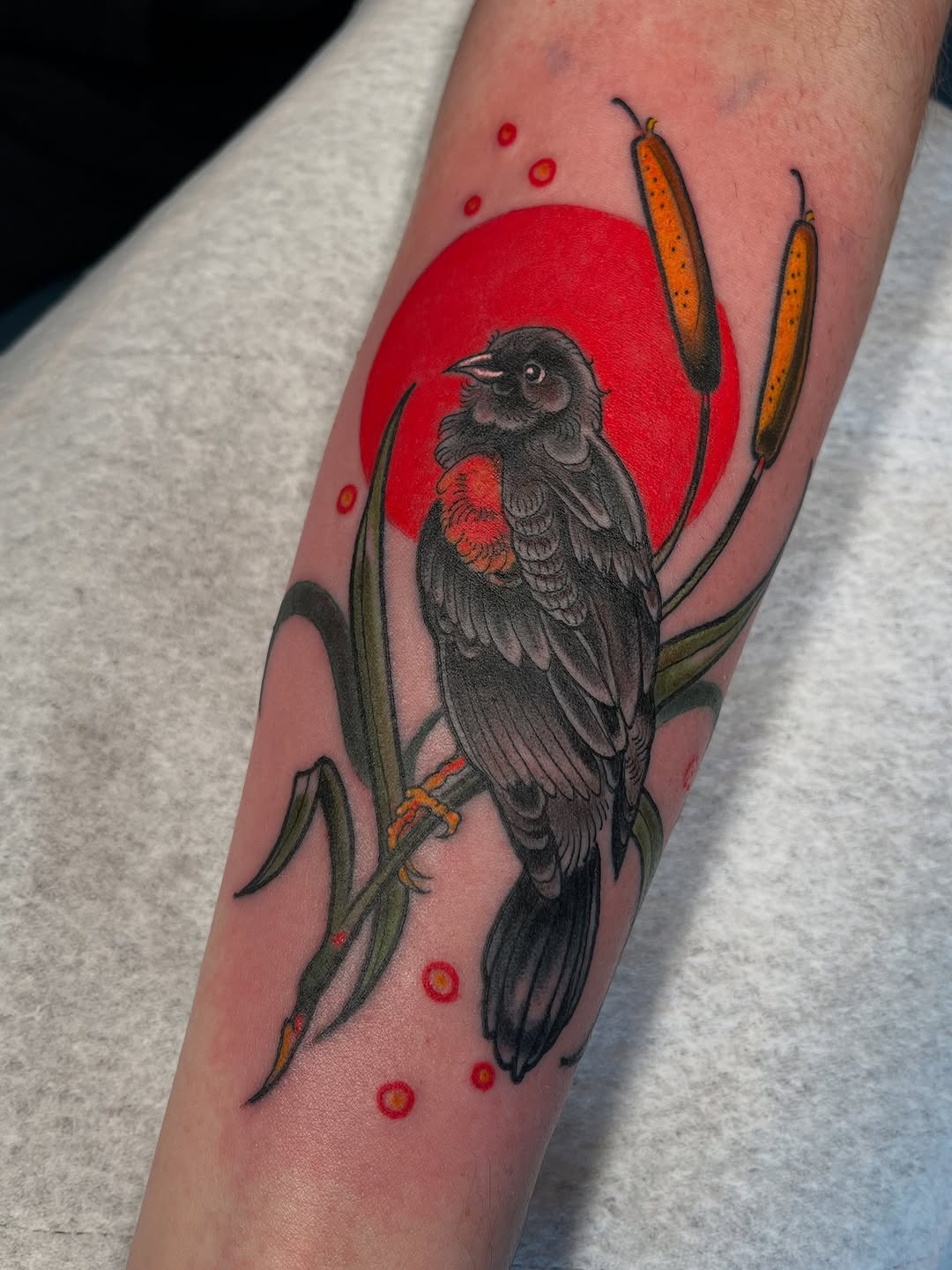 Tattoo by @allykat_tatts — illustrative, realism