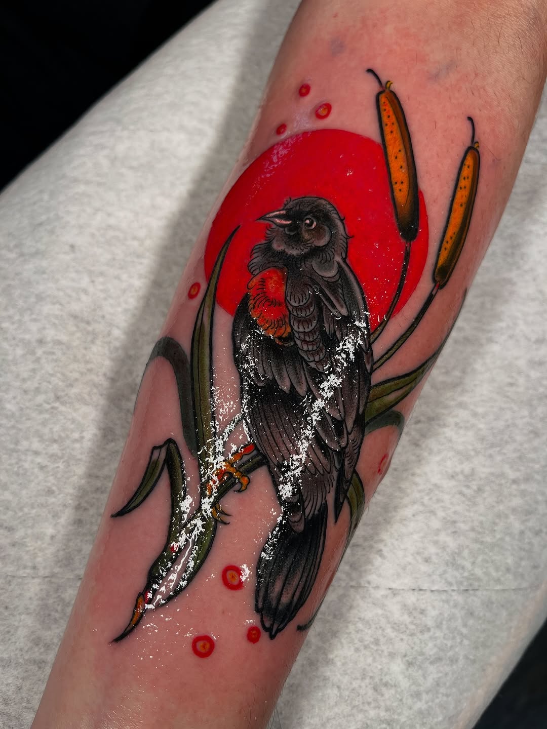 Tattoo by @allykat_tatts — illustrative, realism