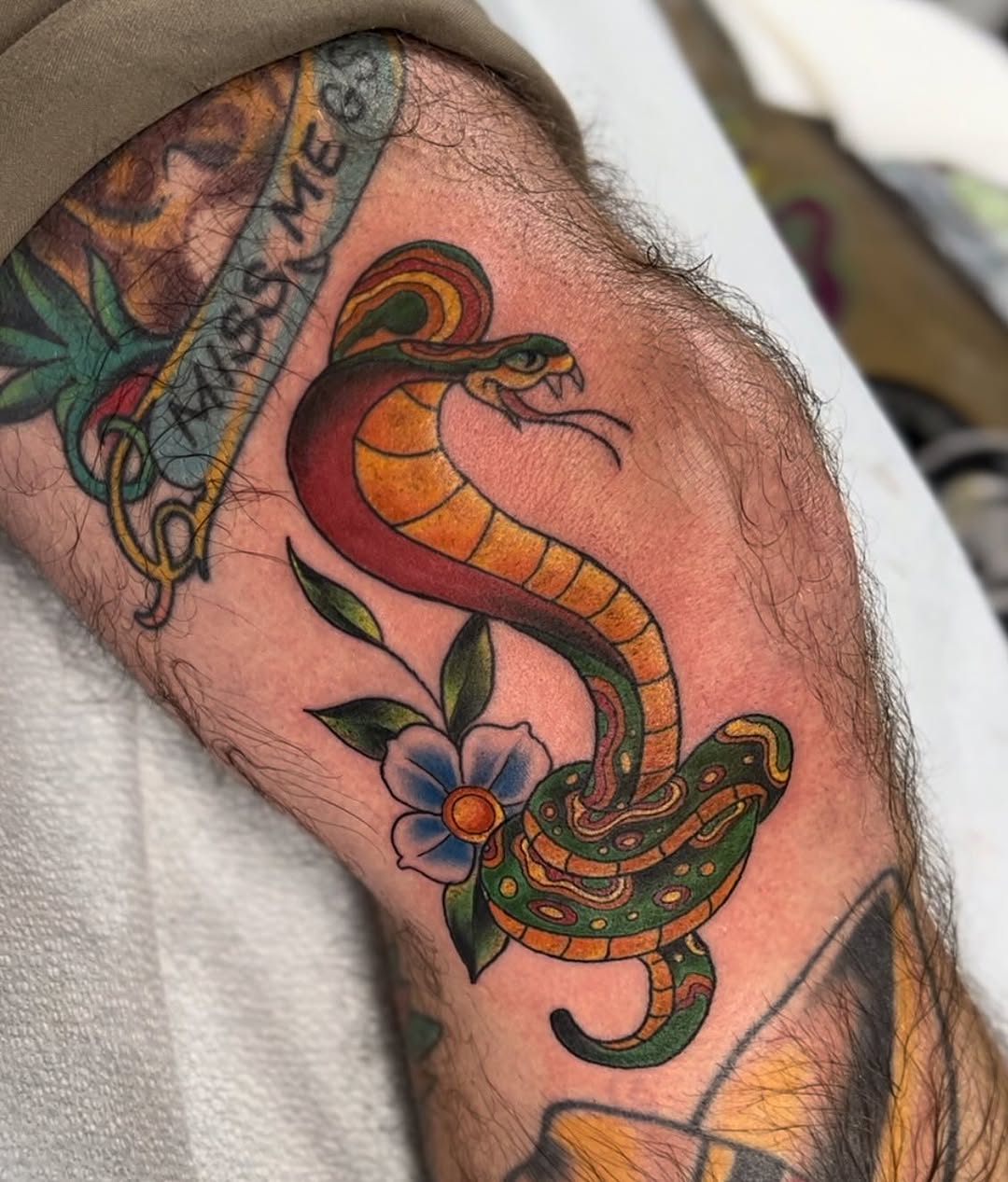 Tattoo by @snakeeyes7six — american_traditional