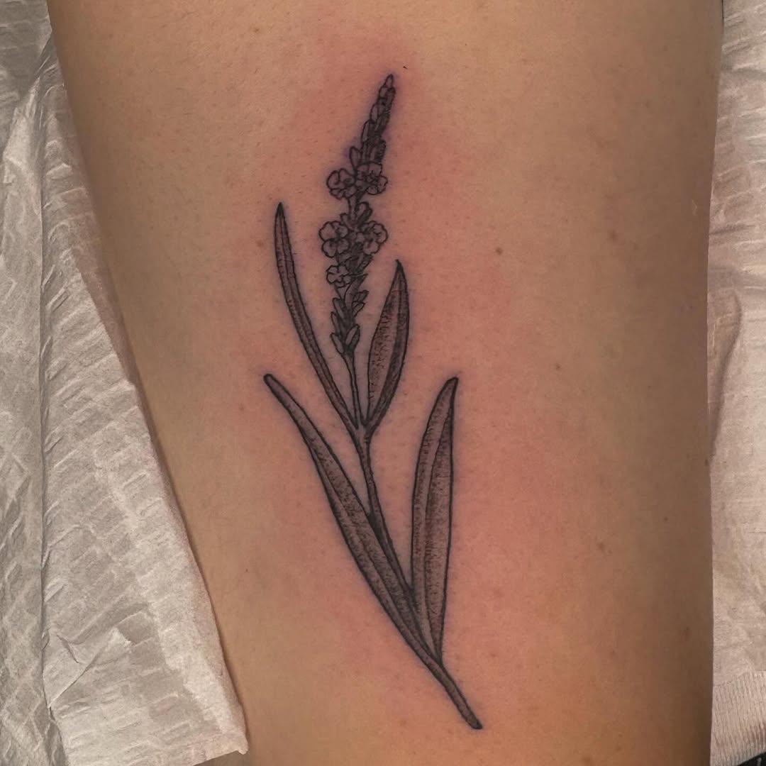 Tattoo by @allieruck_tattoos — fine_line, black_and_grey
