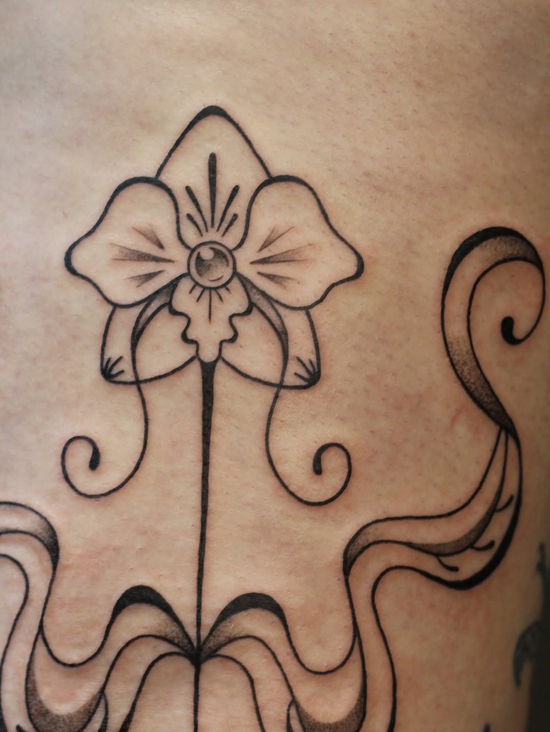 Tattoo by @amandaktattoos — ornamental, fine_line