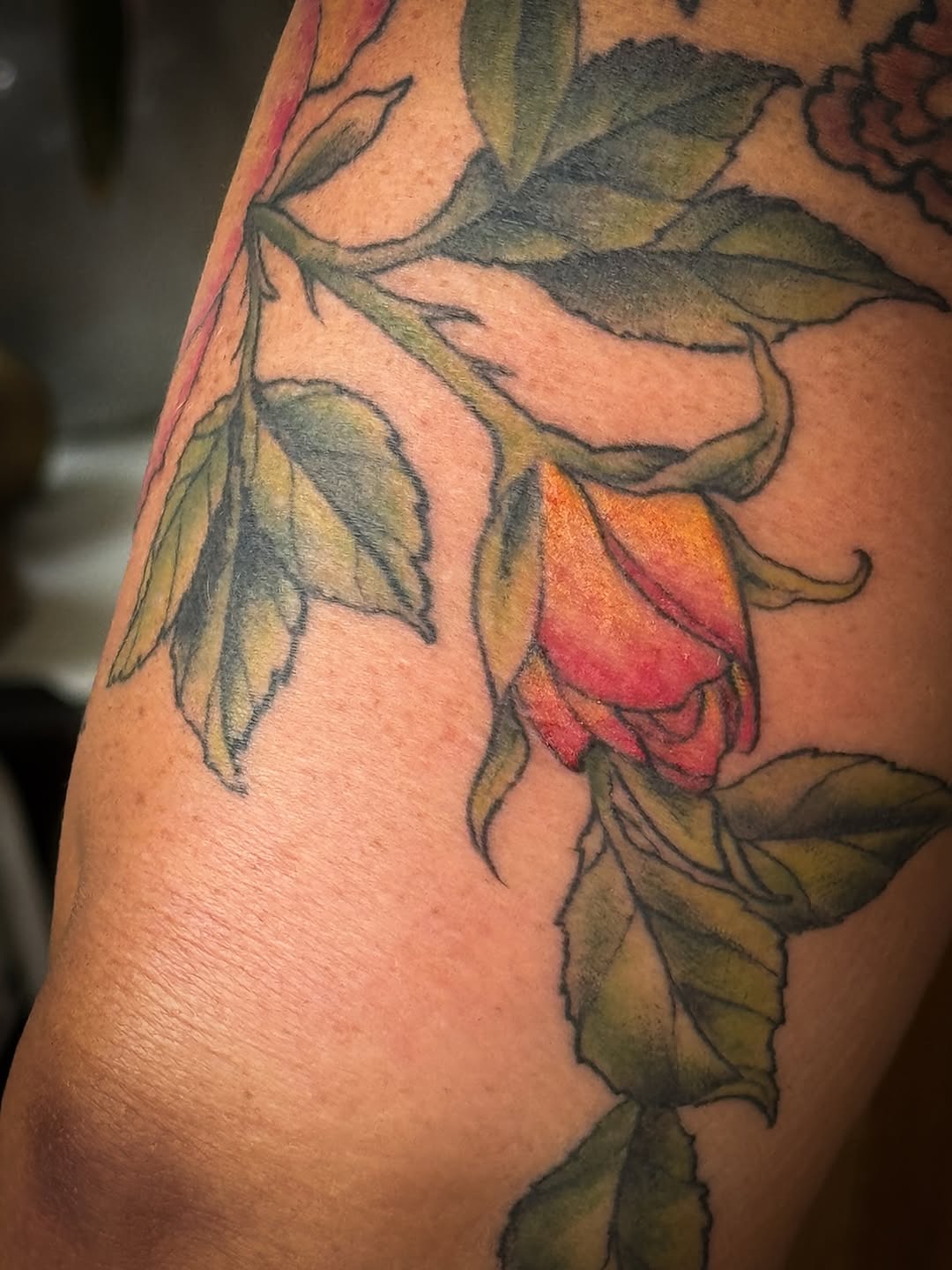 Tattoo by @tattoosbyanna — realism, color