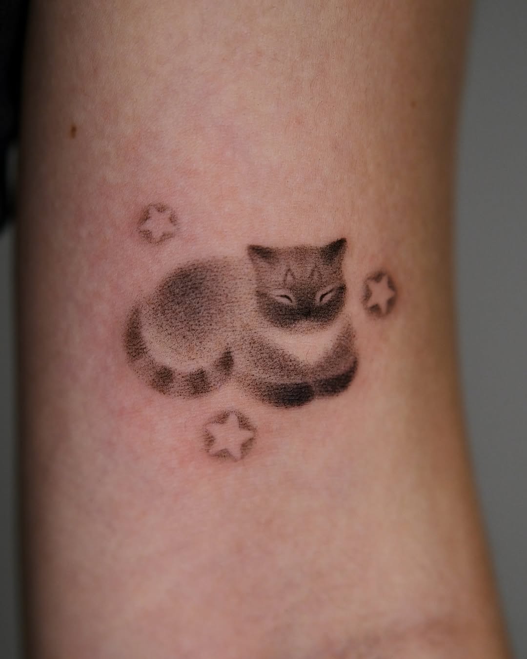 Tattoo by @toki.tattoos โ dotwork, black_and_grey