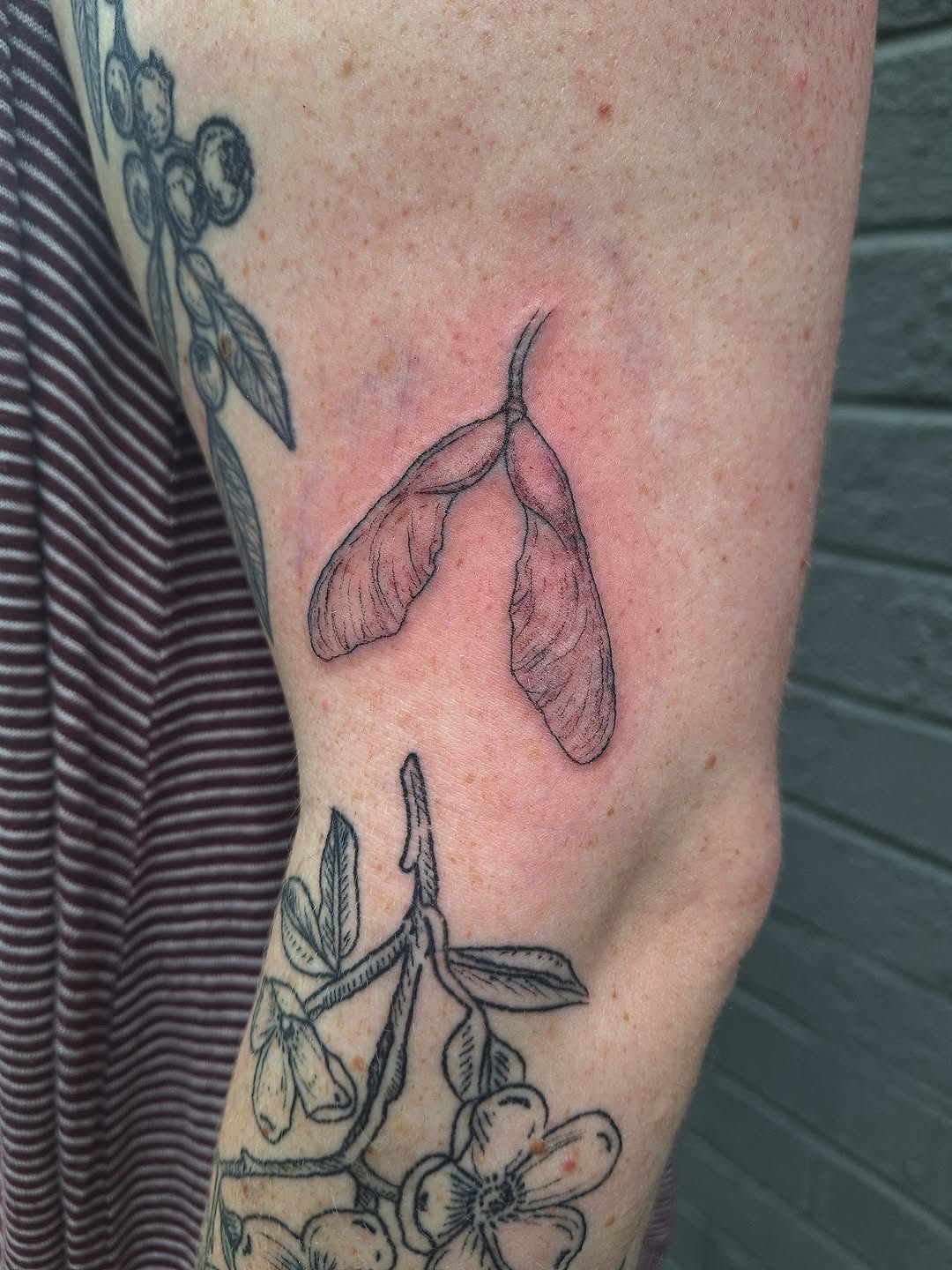 Tattoo by @mooonsnail — fine_line, illustrative