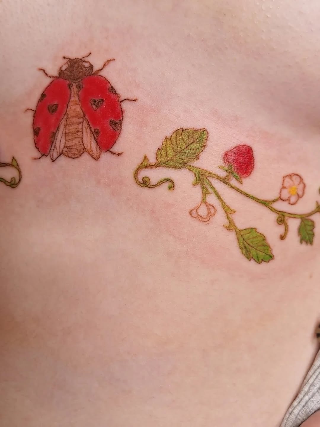 Tattoo by @mooonsnail — fine_line, illustrative