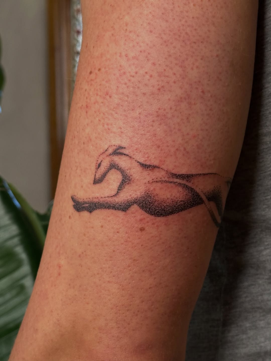 Tattoo by @rrrackham — dotwork, black_and_grey