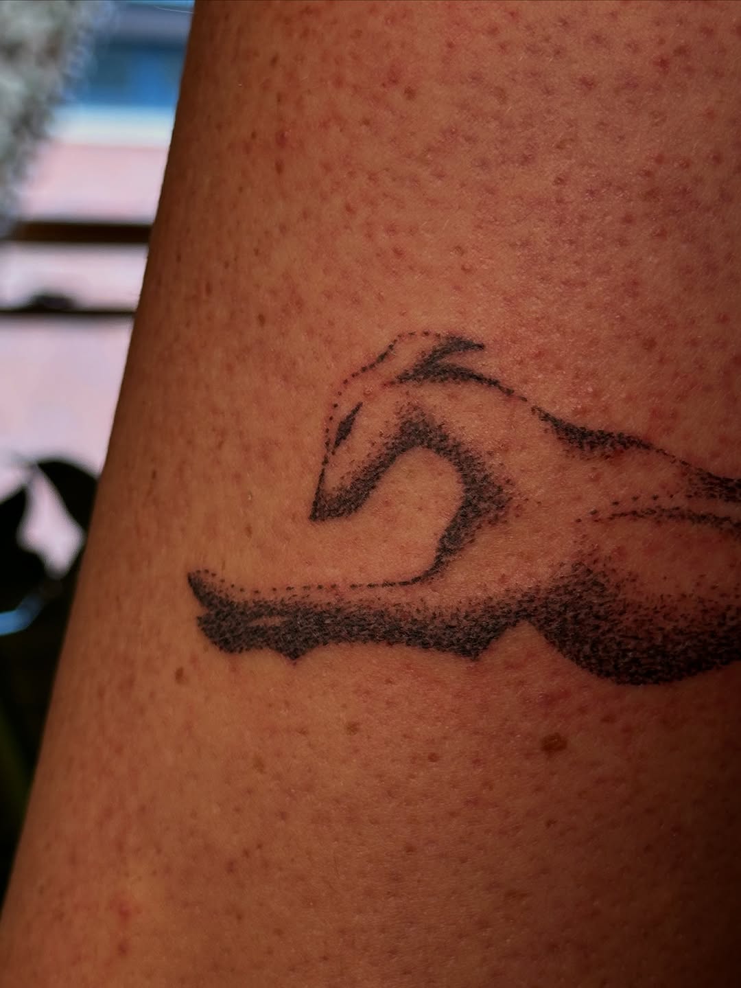 Tattoo by @rrrackham — dotwork, black_and_grey