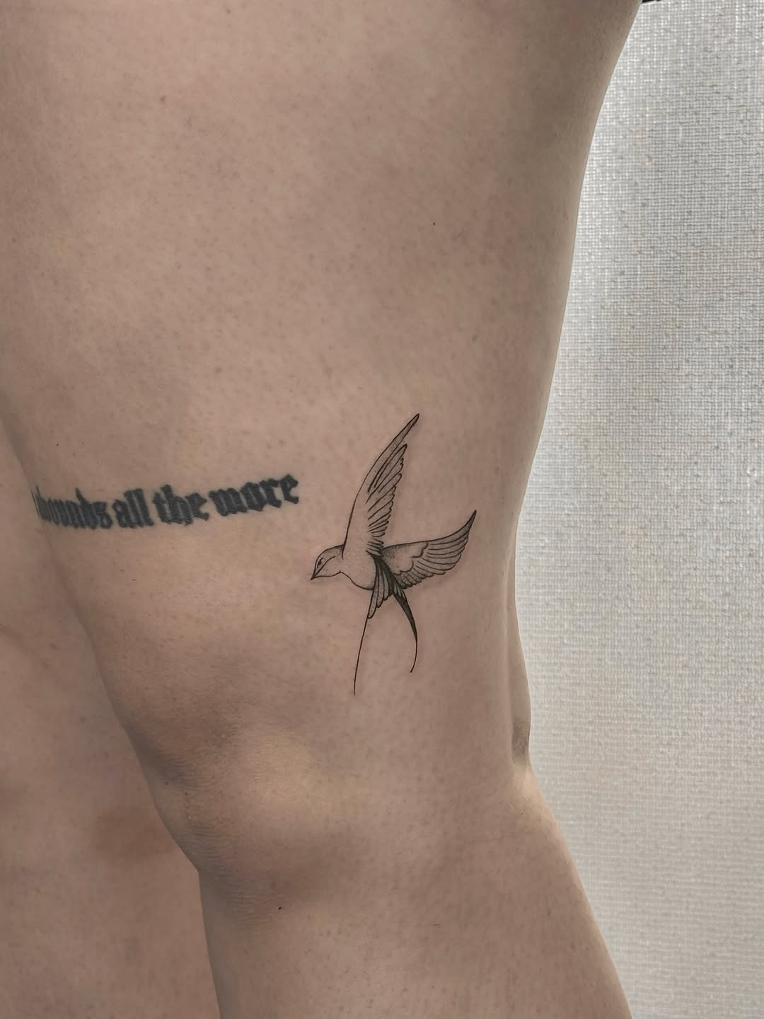 Tattoo by @starofdreams.tatt — fine_line, illustrative
