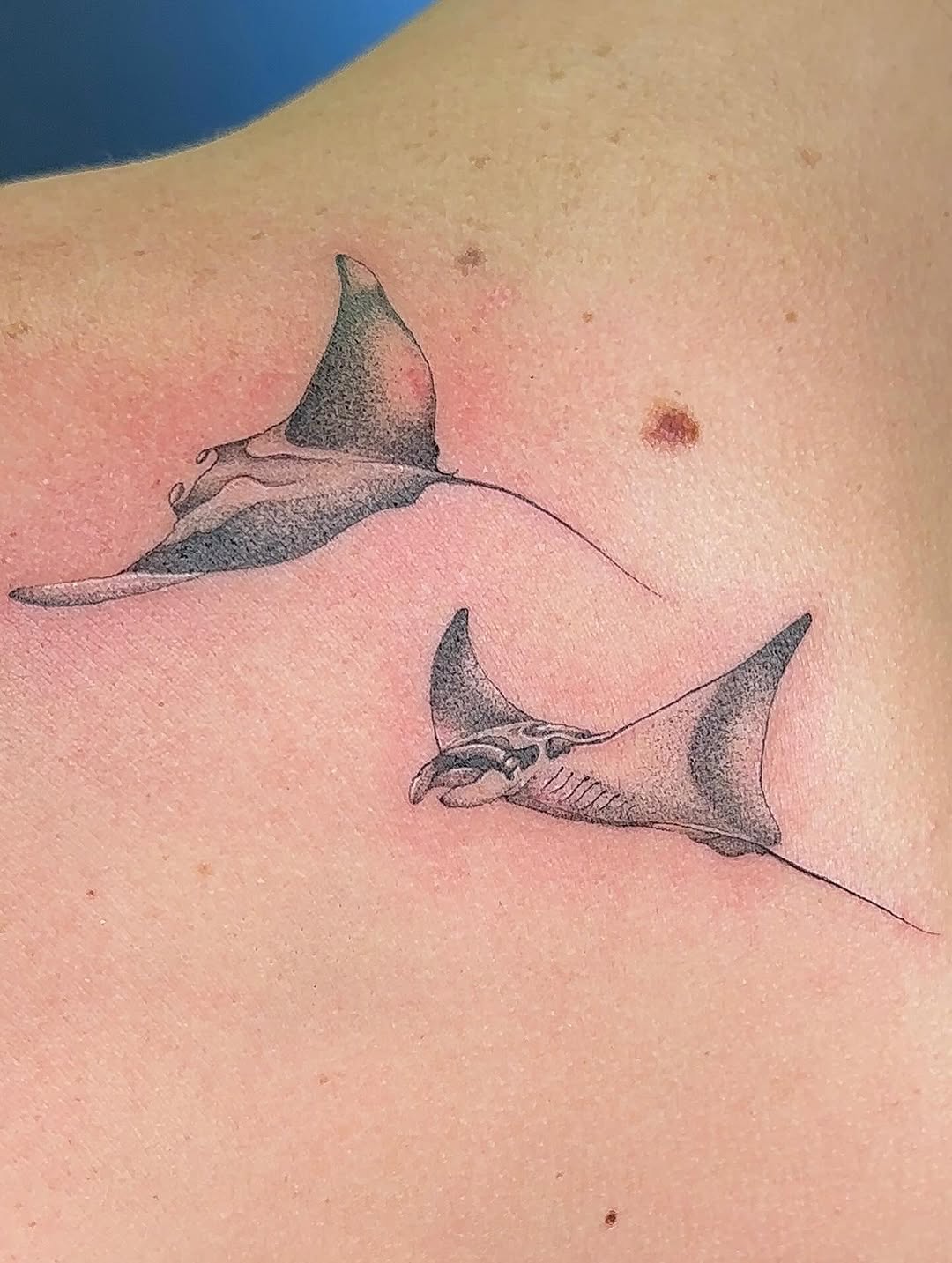 Tattoo by @bboujeeink2 — black_and_grey, dotwork