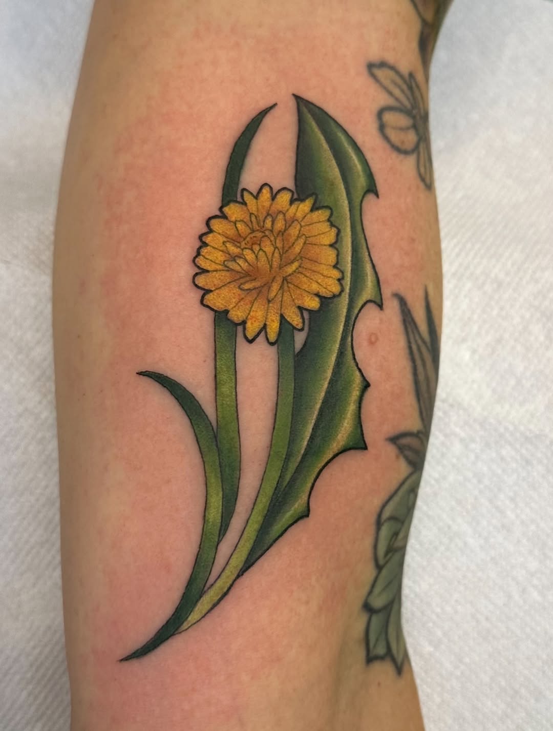Tattoo by @frenchtoast.ghost โ realism, fine_line