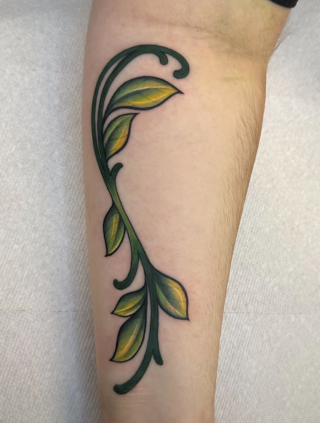 Tattoo by @frenchtoast.ghost โ ornamental, fine_line