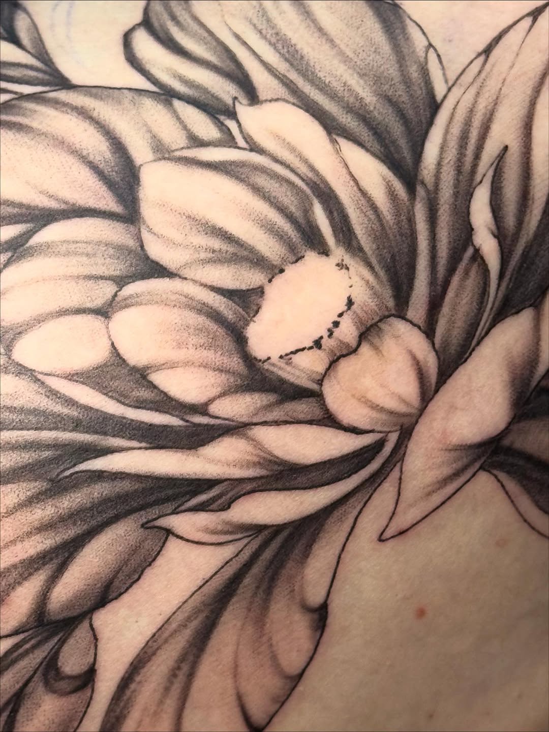 Tattoo by @immaculata_tattoo — black_and_grey, realism