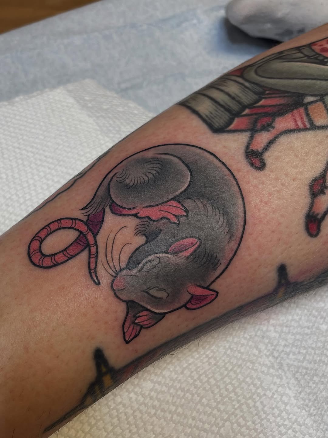 Tattoo by @tallsarahtattoos — american_traditional