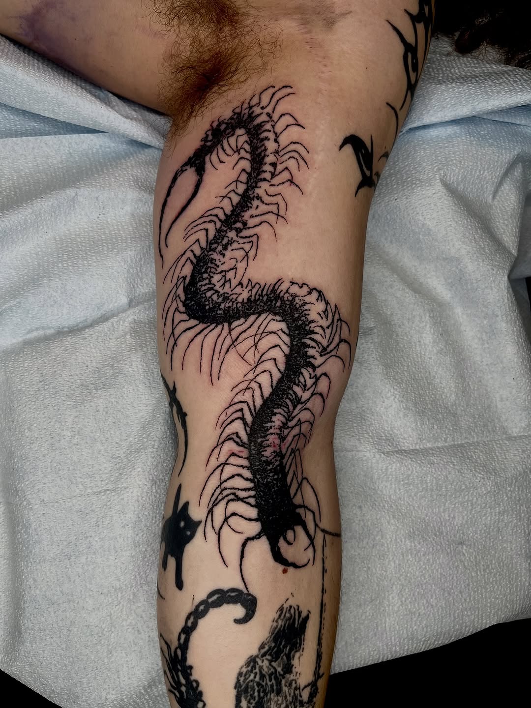 Tattoo by @noahvincenttattoo — blackwork, illustrative