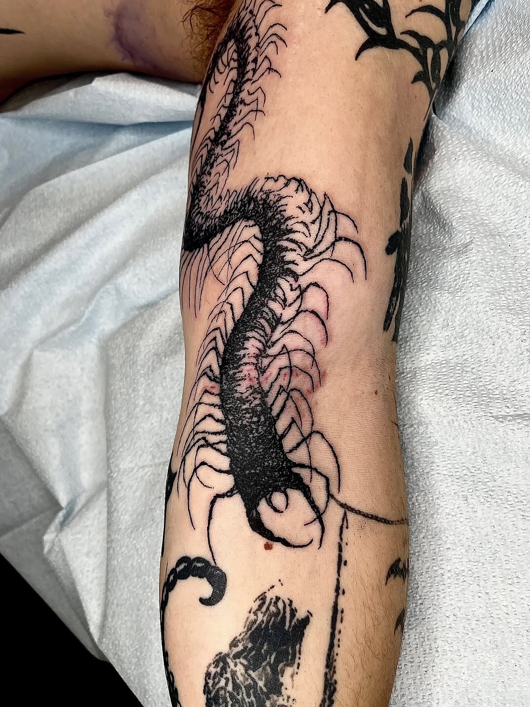 Tattoo by @noahvincenttattoo — blackwork, illustrative