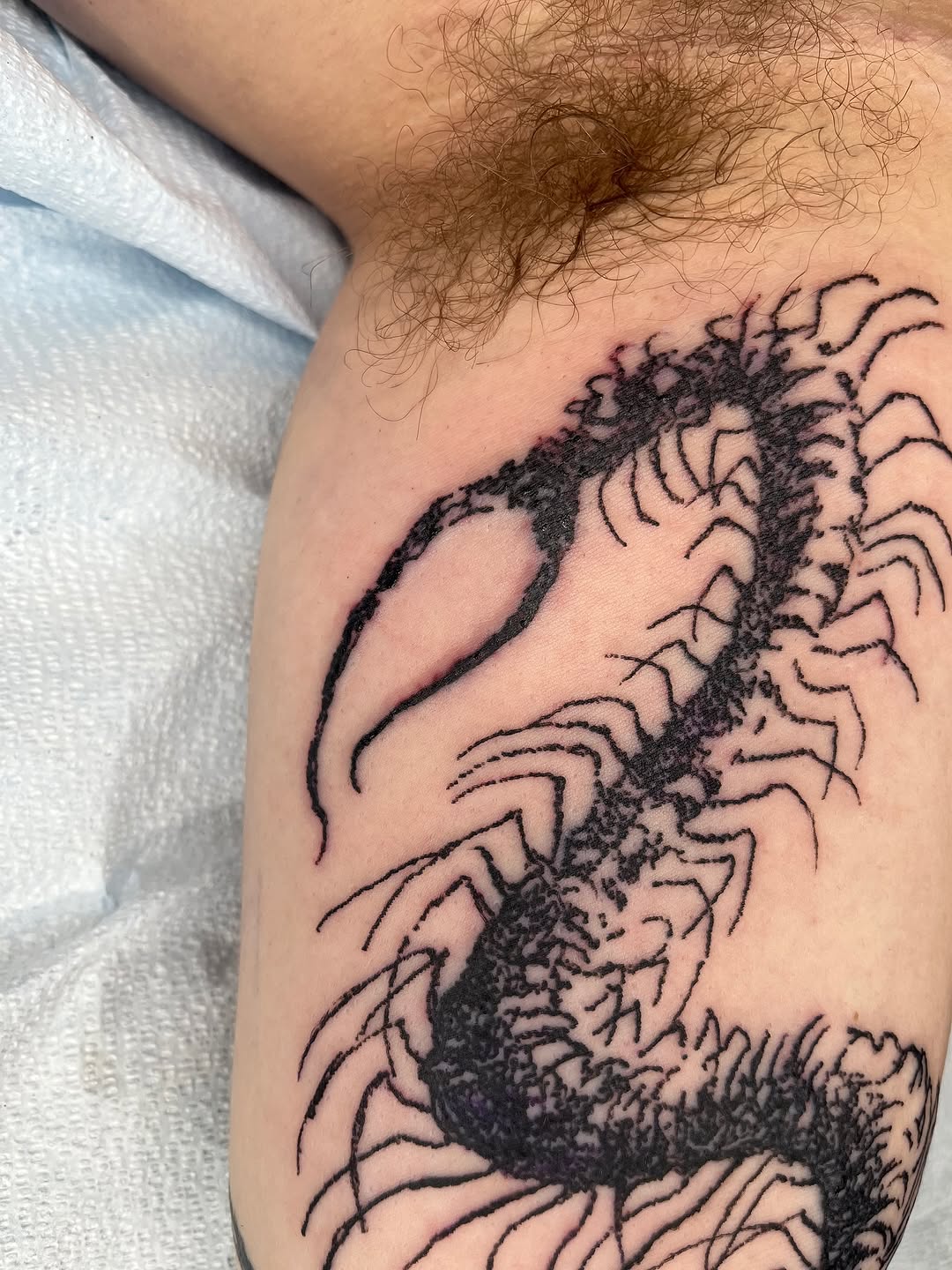Tattoo by @noahvincenttattoo — blackwork, illustrative