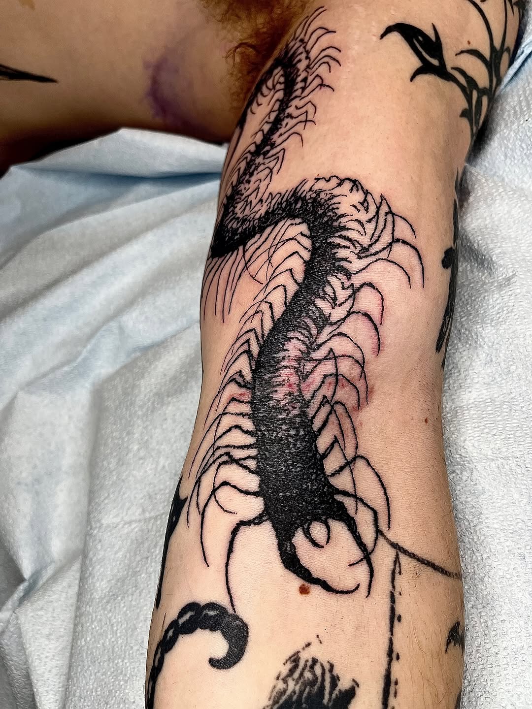 Tattoo by @noahvincenttattoo — blackwork, illustrative
