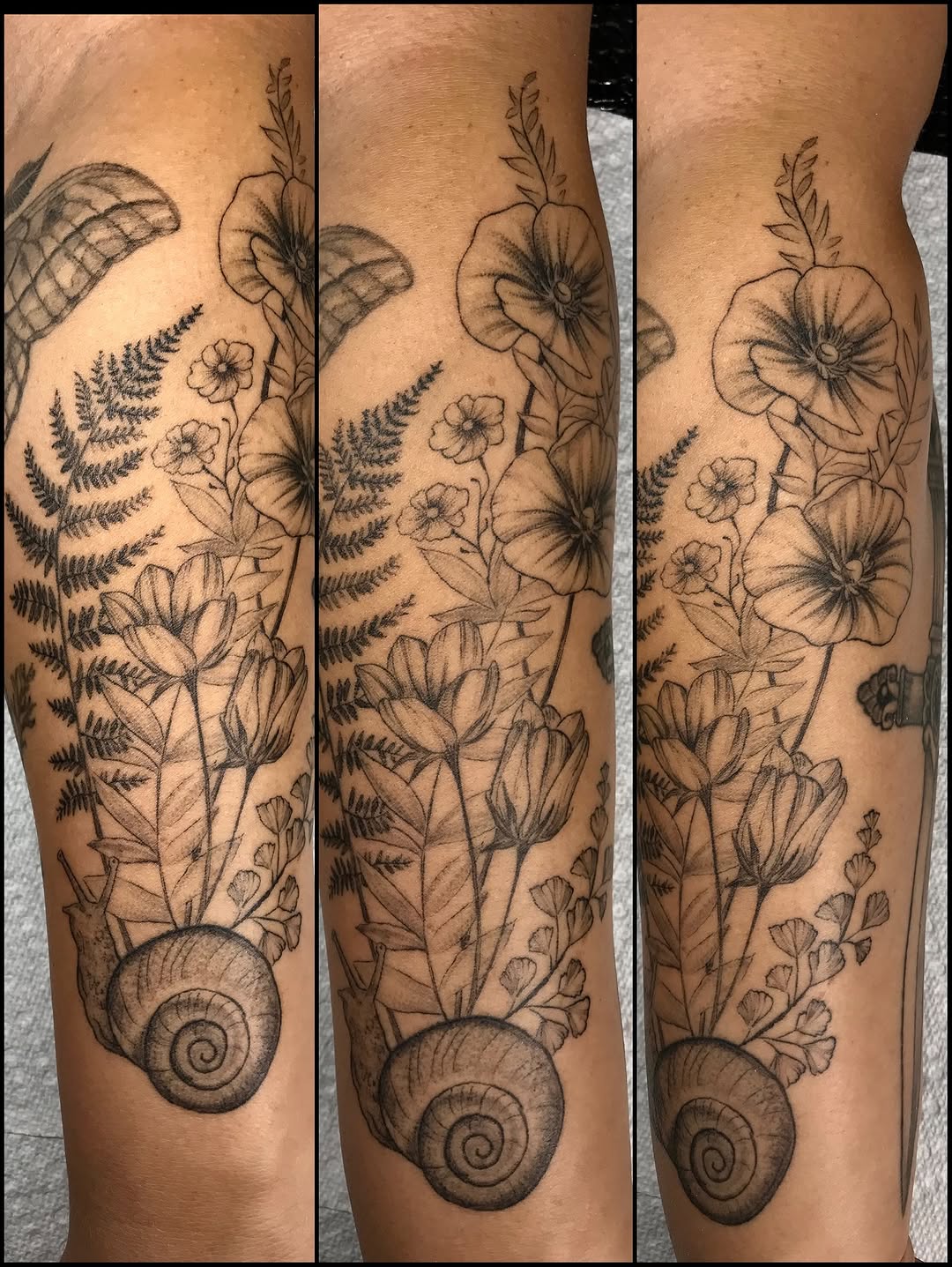 Tattoo by @talia_tattoo_ — black_and_grey, realism
