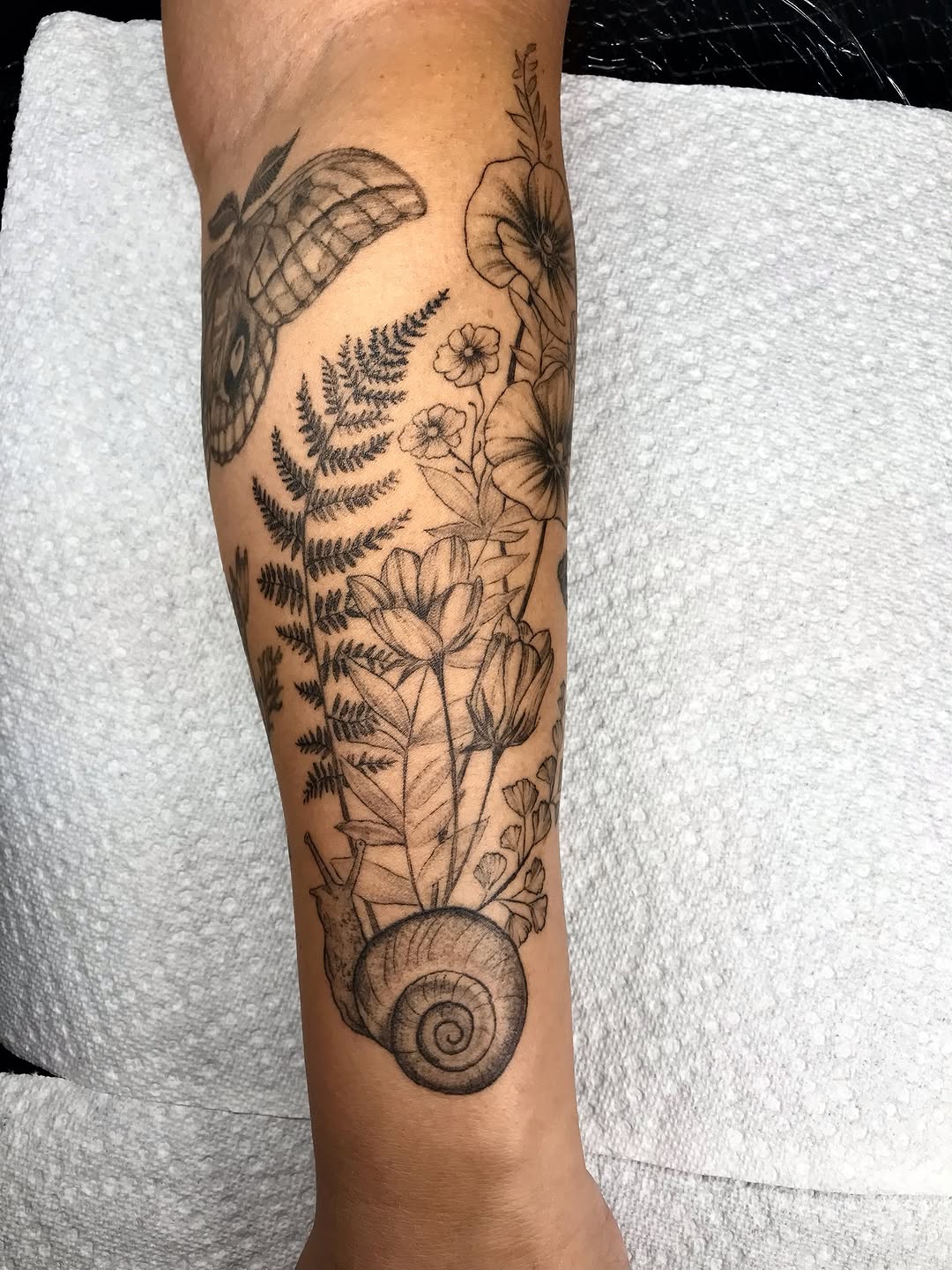 Tattoo by @talia_tattoo_ — fine_line, black_and_grey
