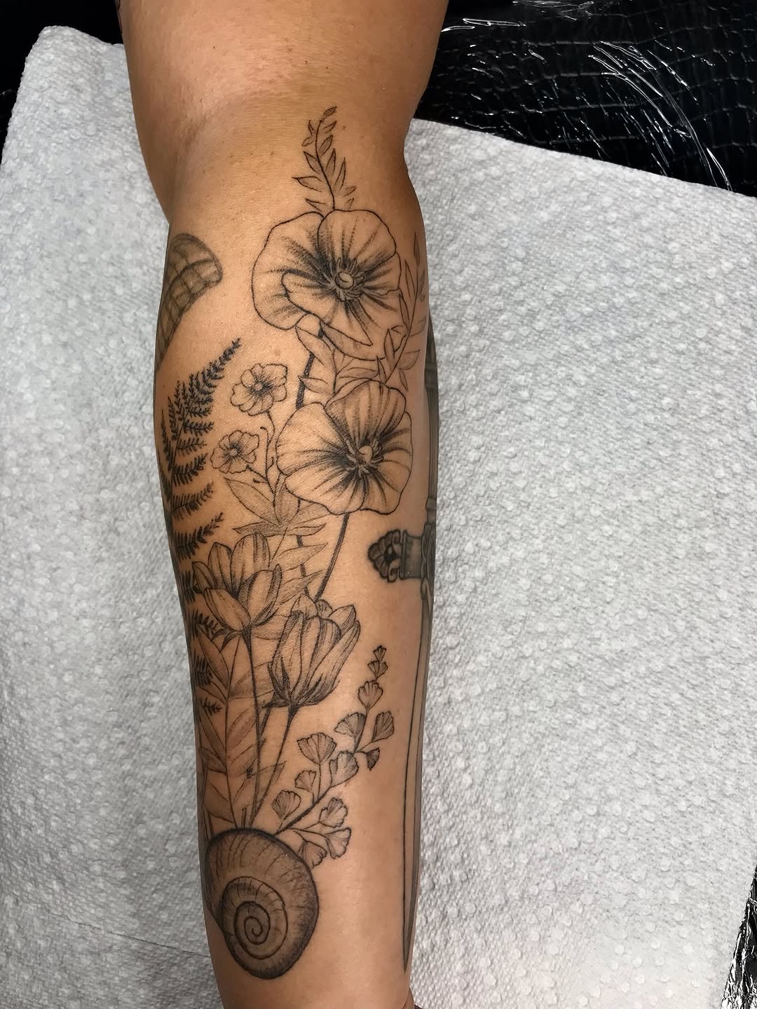 Tattoo by @talia_tattoo_ — fine_line, illustrative