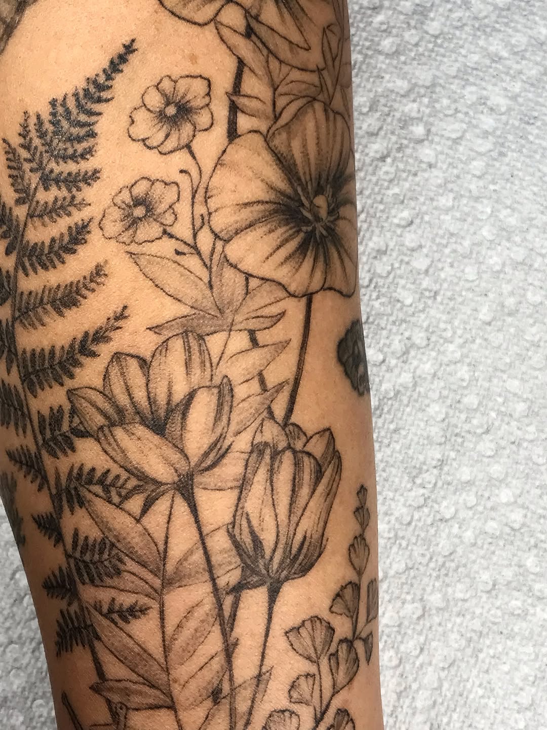 Tattoo by @talia_tattoo_ — fine_line, illustrative