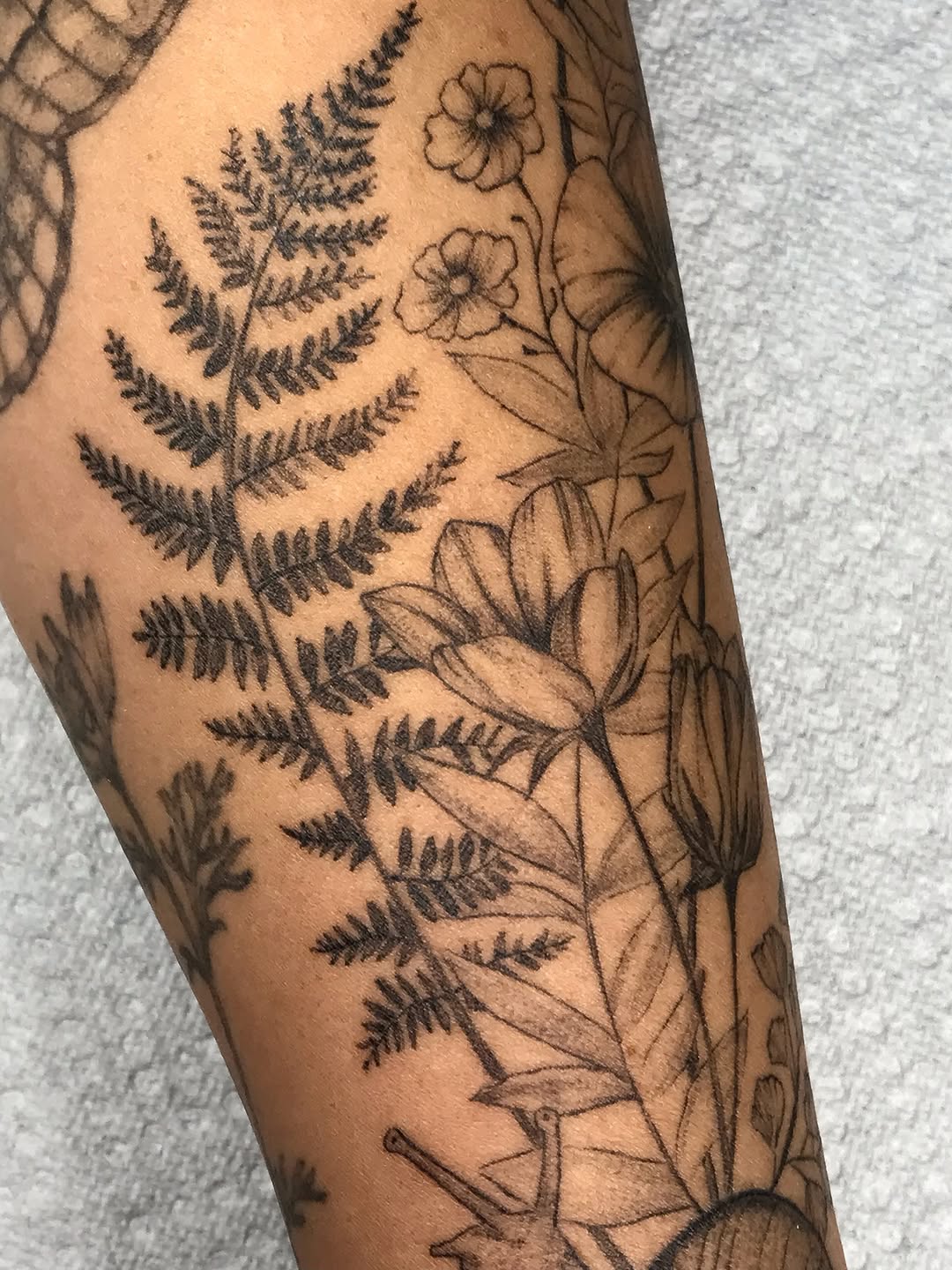 Tattoo by @talia_tattoo_ — fine_line, illustrative