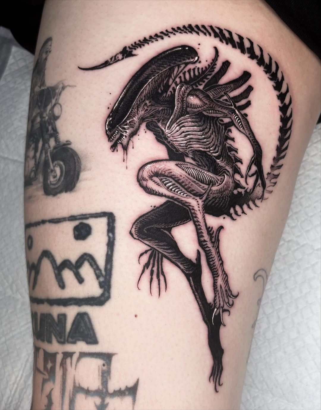 Tattoo by @wooleh__ — black_and_grey, realism
