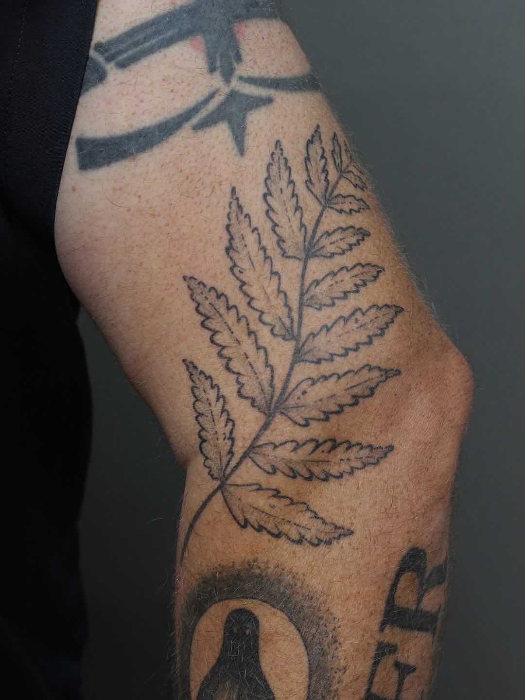 Tattoo by @amandaktattoos — fine_line