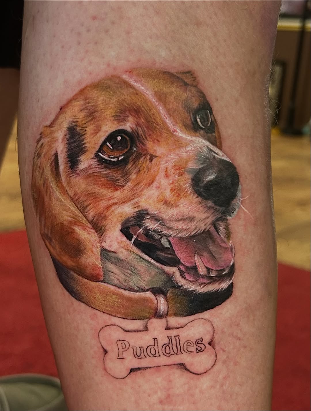 Tattoo by @elyse.ink — realism, black_and_grey