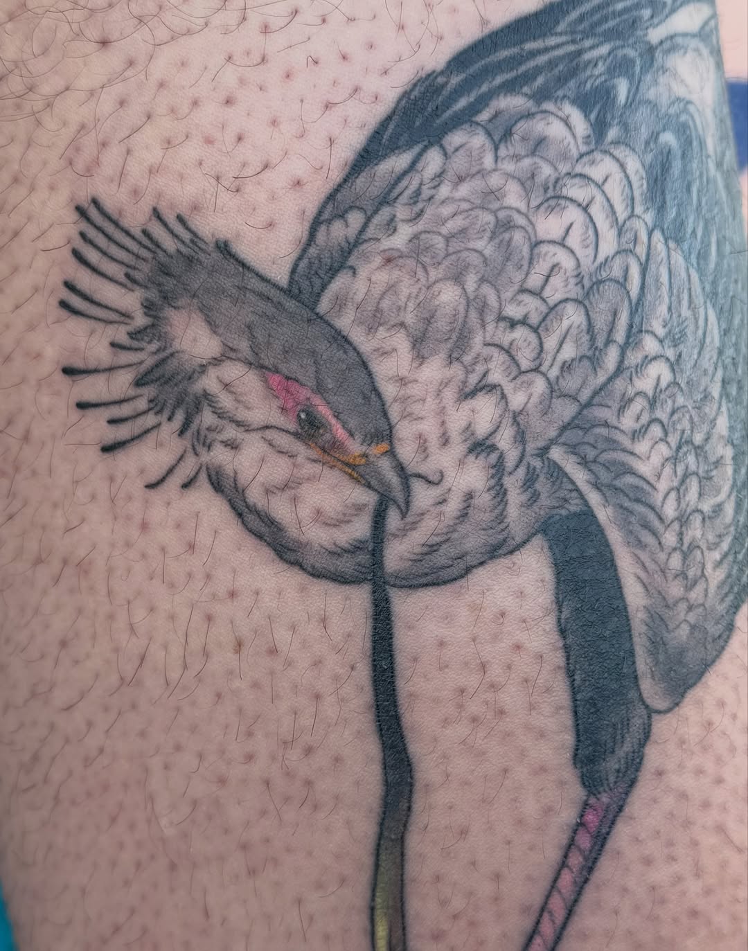Tattoo by @devilgoat โ illustrative