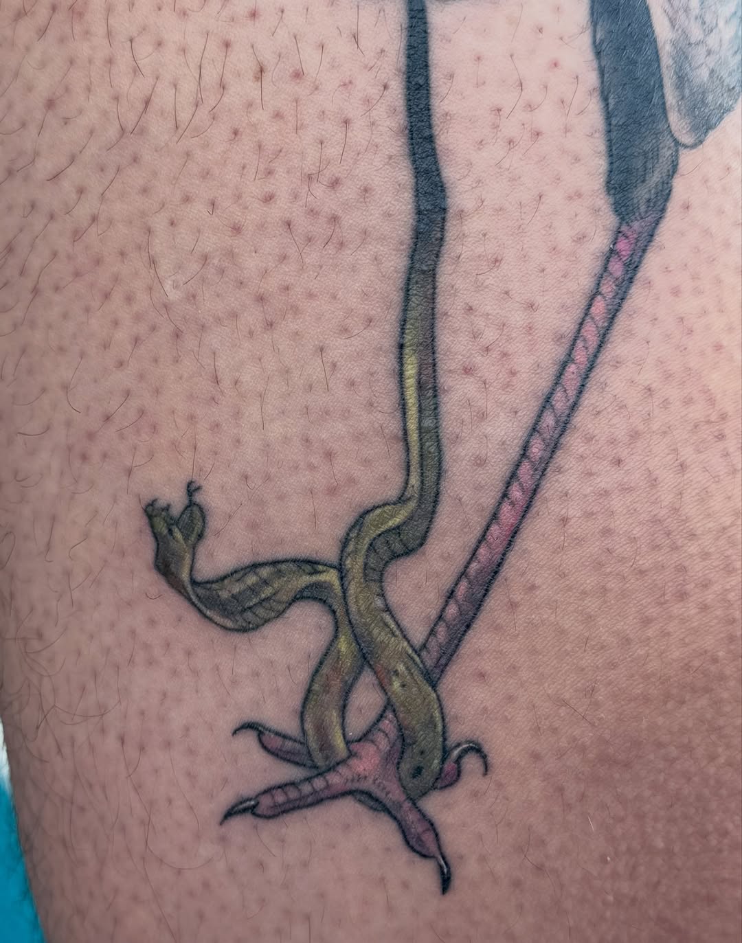 Tattoo by @devilgoat โ illustrative