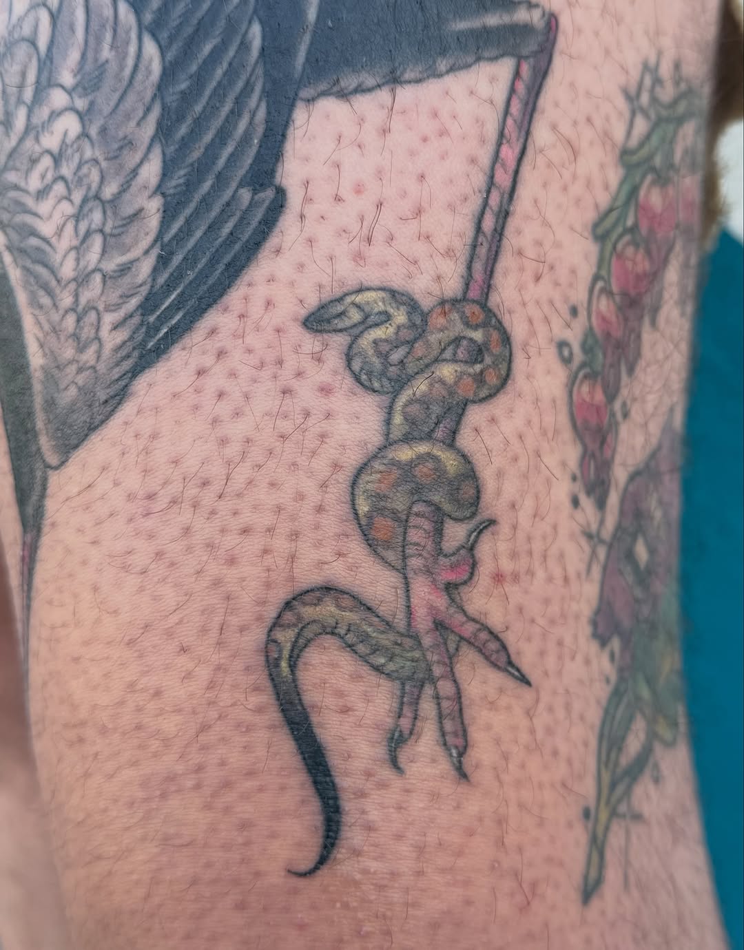 Tattoo by @devilgoat โ american_traditional