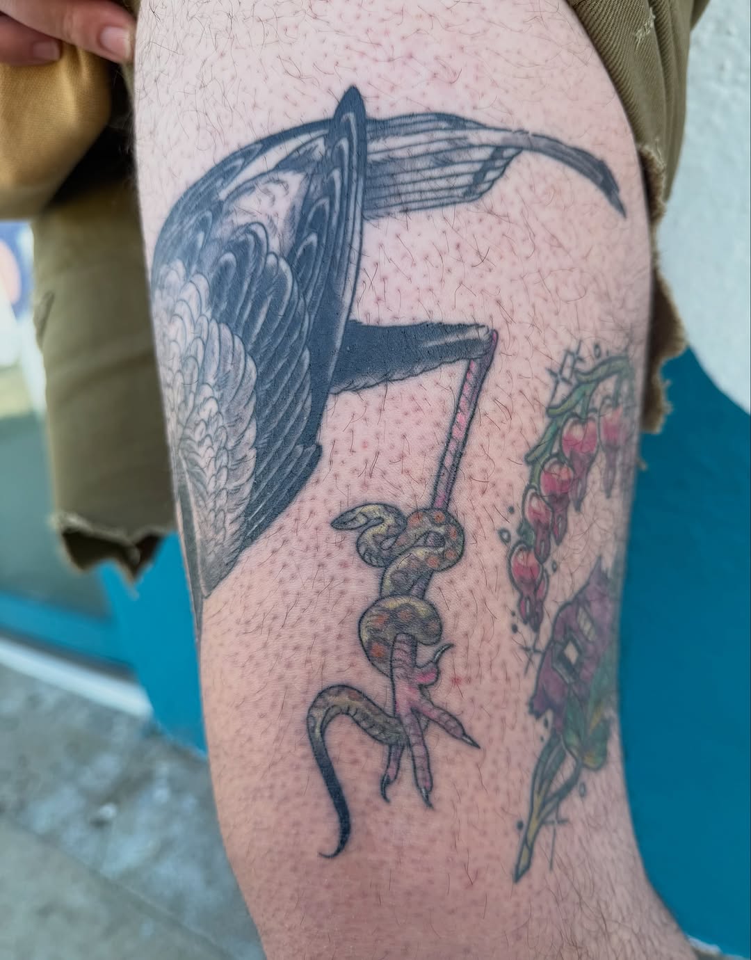 Tattoo by @devilgoat โ neo_traditional
