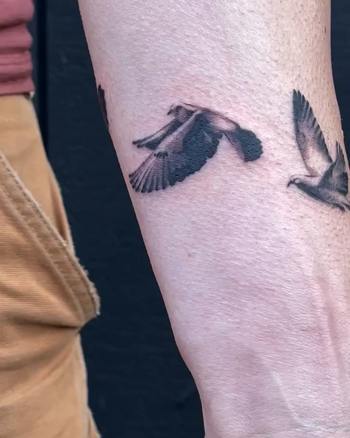 Tattoo by @velvet.snails — fine_line, black_and_grey
