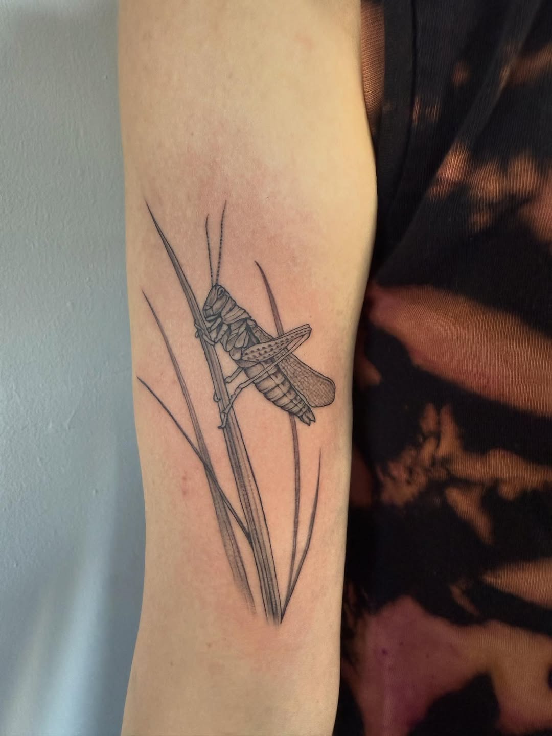 Tattoo by @misskwan — illustrative, black_and_grey