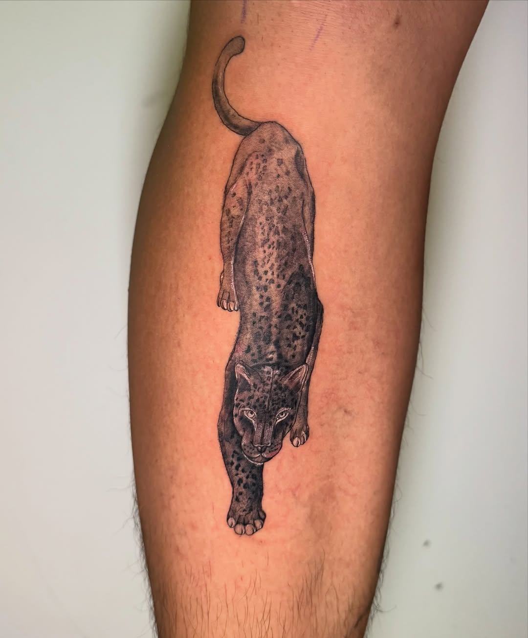 Tattoo by @jaqui.sieras — realism, black_and_grey