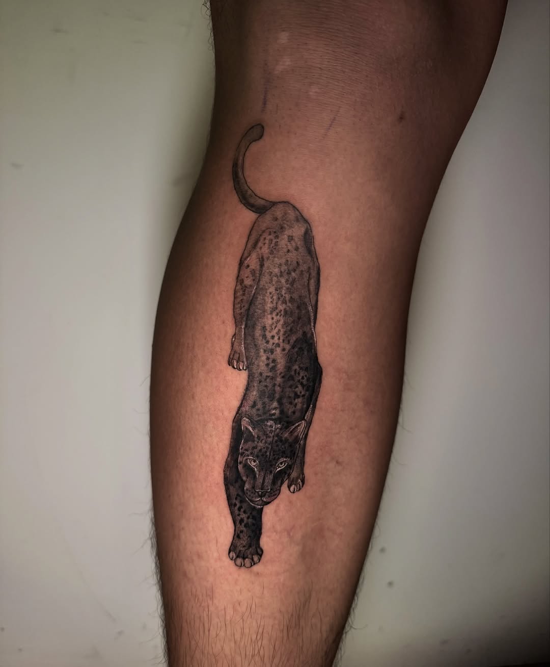 Tattoo by @jaqui.sieras — realism, black_and_grey
