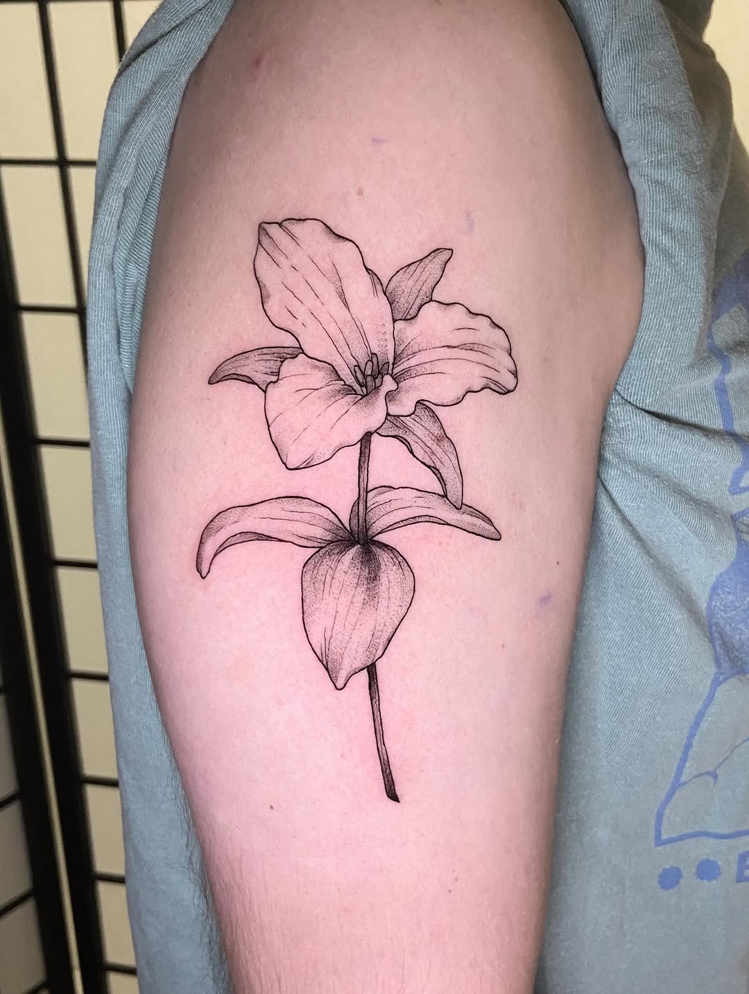 Tattoo by @tattoosbylibbey — fine_line, dotwork