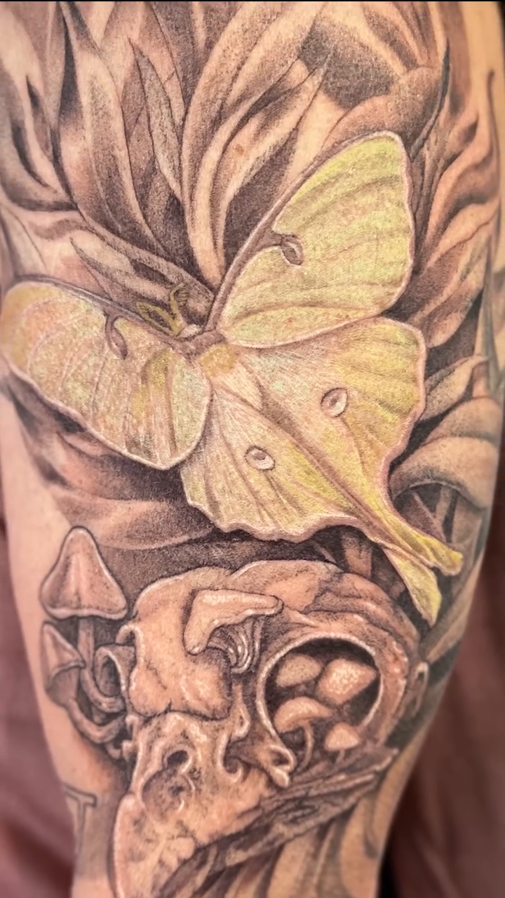 Tattoo by @tattoos.by.ping — illustrative, black_and_grey