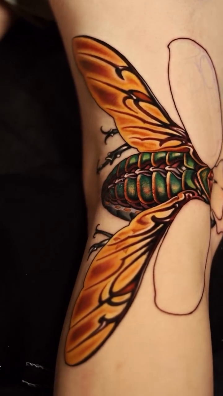 Tattoo by @jordantattoo — neo_traditional