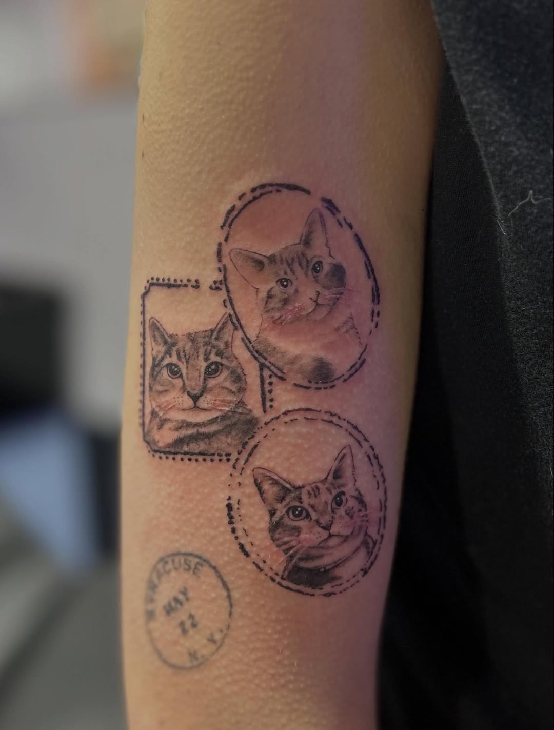 Tattoo by @natjohnson.tattoos โ realism, black_and_grey