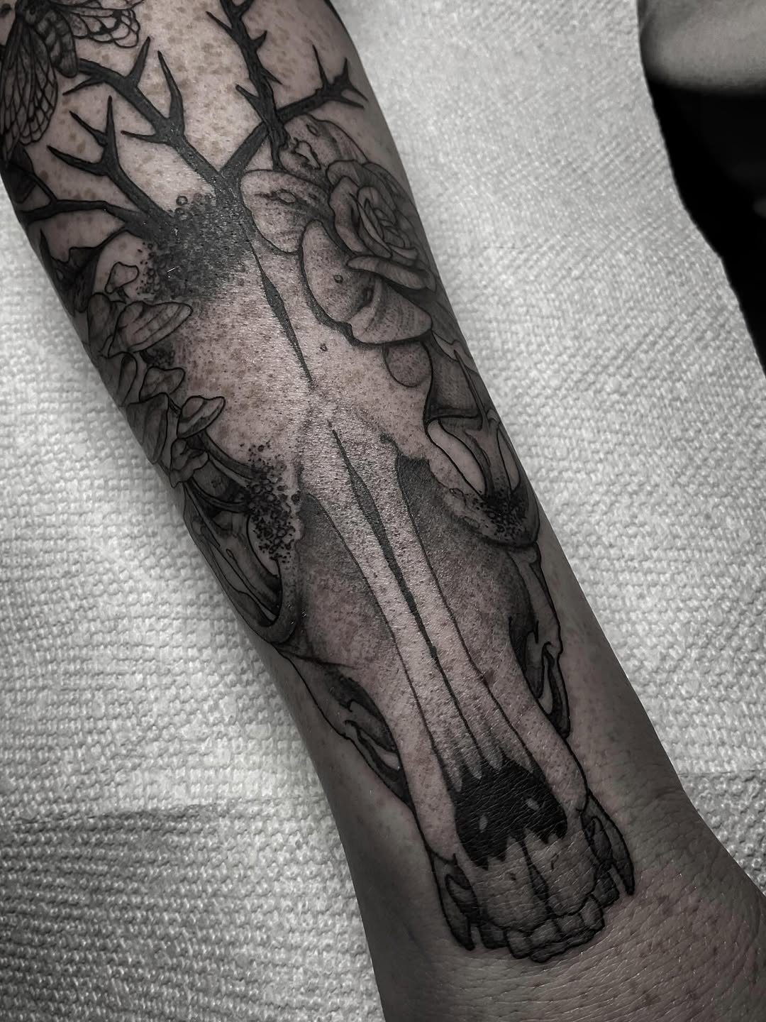 Tattoo by @stefany.m.p — black_and_grey, illustrative